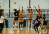 Volleyball (F), Tunisie Télécom Championship : L’Espérance déjoue les pronostics, le CFC et le CA sans forcer.